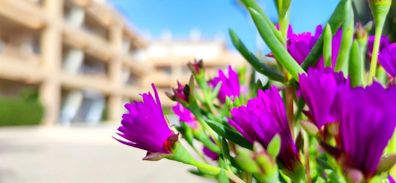 Apartamento Playa Sur By Denia Costa Apartment Ngoại thất bức ảnh